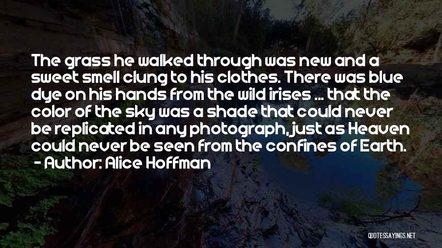 Alice Hoffman Quotes: The Grass He Walked Through Was New And A Sweet Smell Clung To His Clothes. There Was Blue Dye On