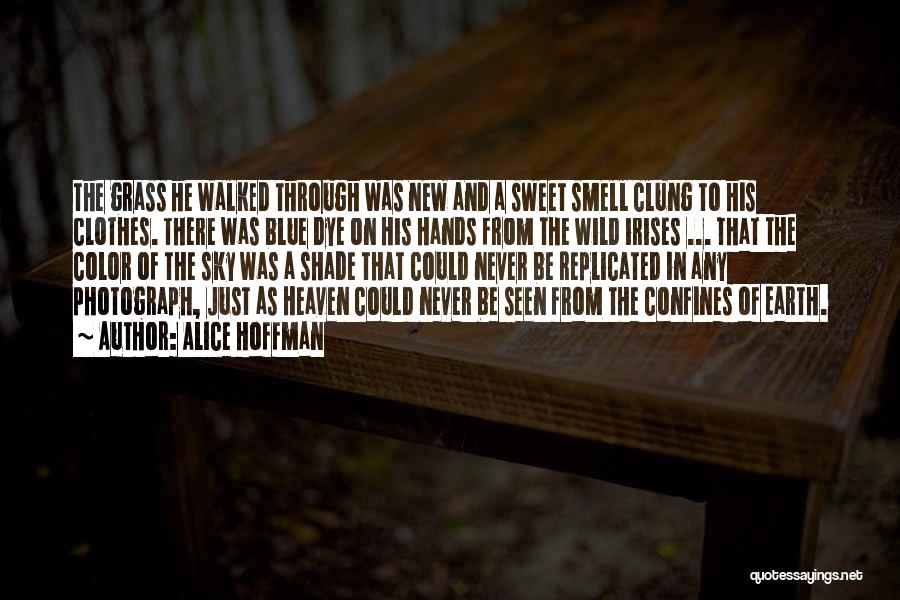 Alice Hoffman Quotes: The Grass He Walked Through Was New And A Sweet Smell Clung To His Clothes. There Was Blue Dye On