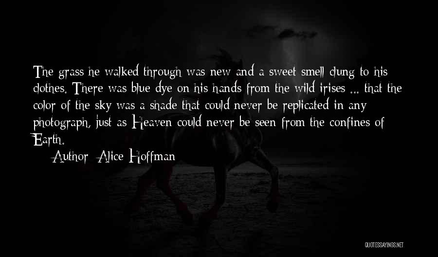 Alice Hoffman Quotes: The Grass He Walked Through Was New And A Sweet Smell Clung To His Clothes. There Was Blue Dye On
