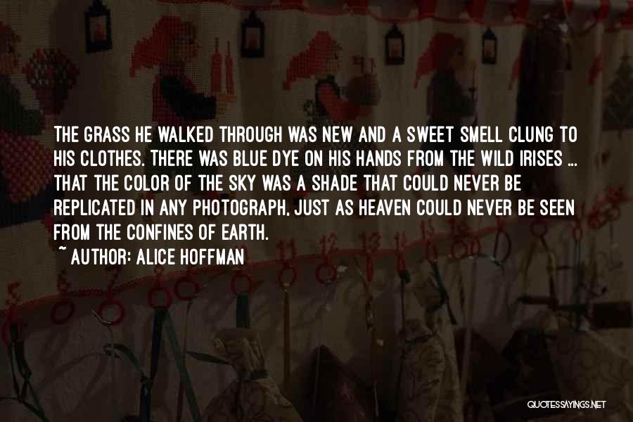 Alice Hoffman Quotes: The Grass He Walked Through Was New And A Sweet Smell Clung To His Clothes. There Was Blue Dye On