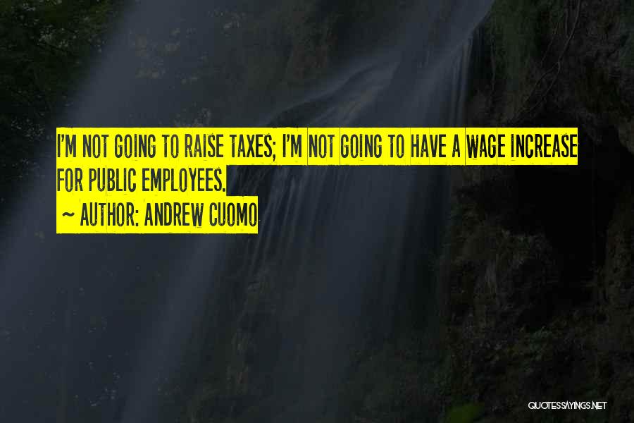 Andrew Cuomo Quotes: I'm Not Going To Raise Taxes; I'm Not Going To Have A Wage Increase For Public Employees.