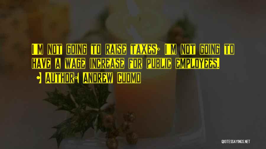 Andrew Cuomo Quotes: I'm Not Going To Raise Taxes; I'm Not Going To Have A Wage Increase For Public Employees.