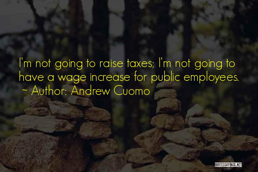 Andrew Cuomo Quotes: I'm Not Going To Raise Taxes; I'm Not Going To Have A Wage Increase For Public Employees.