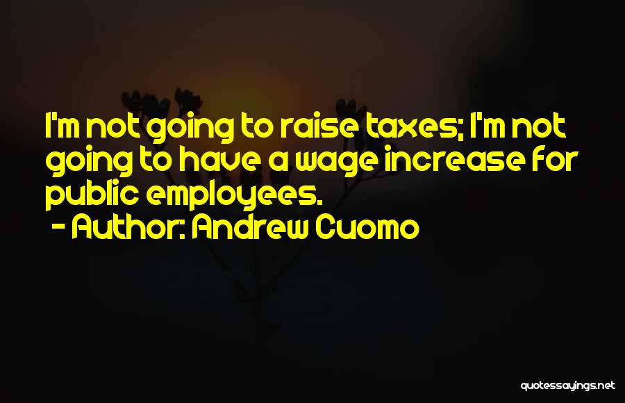 Andrew Cuomo Quotes: I'm Not Going To Raise Taxes; I'm Not Going To Have A Wage Increase For Public Employees.
