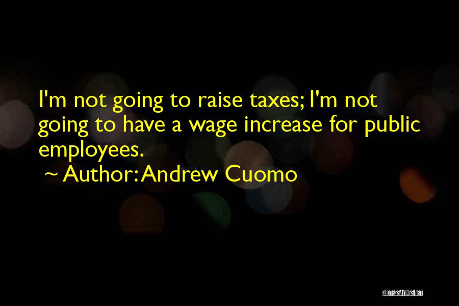 Andrew Cuomo Quotes: I'm Not Going To Raise Taxes; I'm Not Going To Have A Wage Increase For Public Employees.