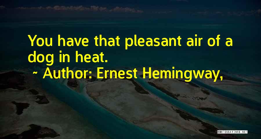 Ernest Hemingway, Quotes: You Have That Pleasant Air Of A Dog In Heat.