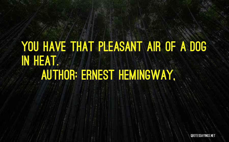 Ernest Hemingway, Quotes: You Have That Pleasant Air Of A Dog In Heat.