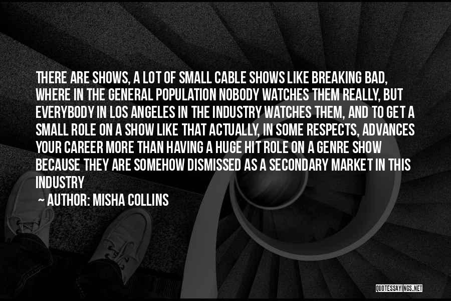 Misha Collins Quotes: There Are Shows, A Lot Of Small Cable Shows Like Breaking Bad, Where In The General Population Nobody Watches Them