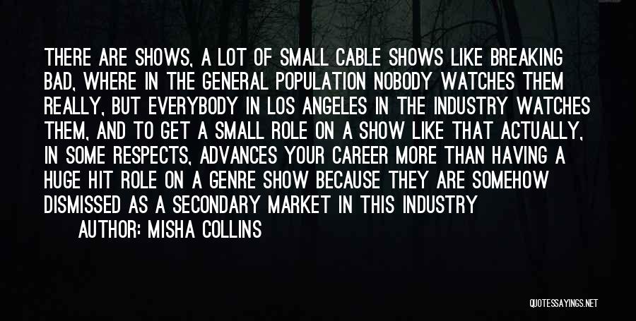 Misha Collins Quotes: There Are Shows, A Lot Of Small Cable Shows Like Breaking Bad, Where In The General Population Nobody Watches Them