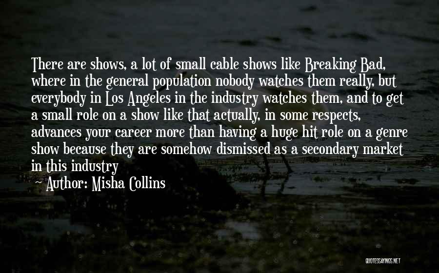 Misha Collins Quotes: There Are Shows, A Lot Of Small Cable Shows Like Breaking Bad, Where In The General Population Nobody Watches Them