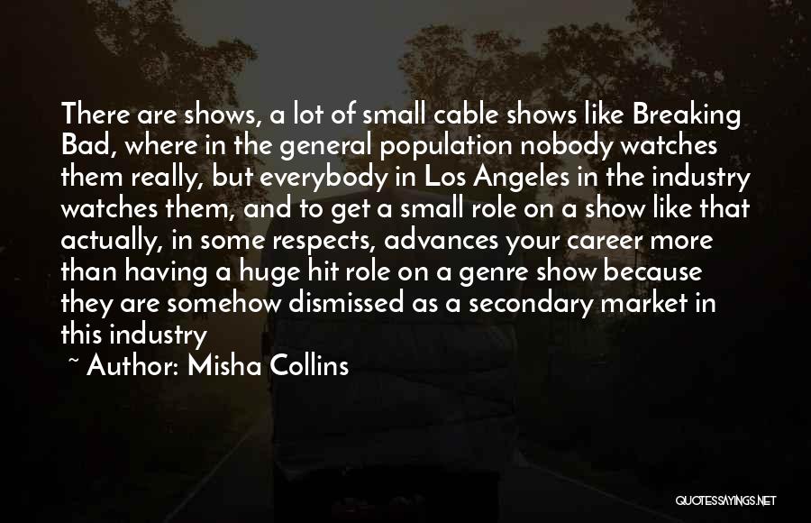 Misha Collins Quotes: There Are Shows, A Lot Of Small Cable Shows Like Breaking Bad, Where In The General Population Nobody Watches Them