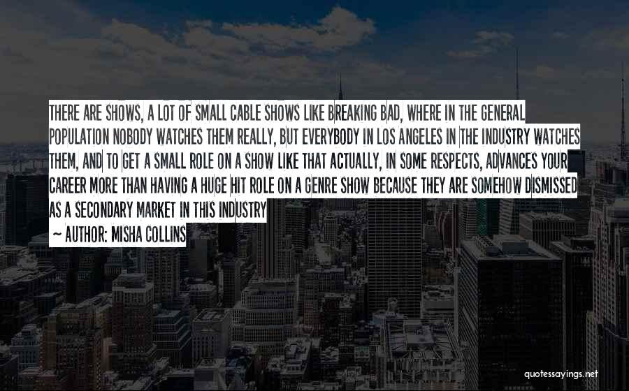 Misha Collins Quotes: There Are Shows, A Lot Of Small Cable Shows Like Breaking Bad, Where In The General Population Nobody Watches Them