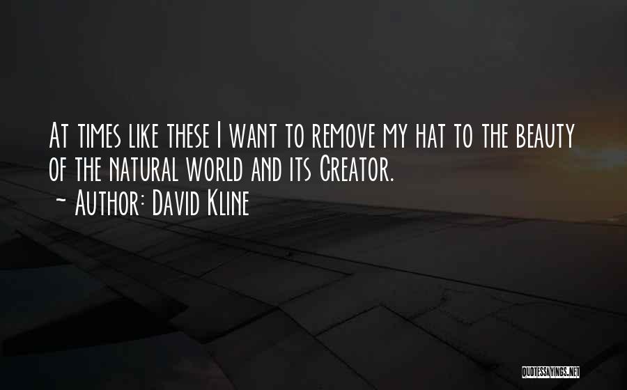 David Kline Quotes: At Times Like These I Want To Remove My Hat To The Beauty Of The Natural World And Its Creator.