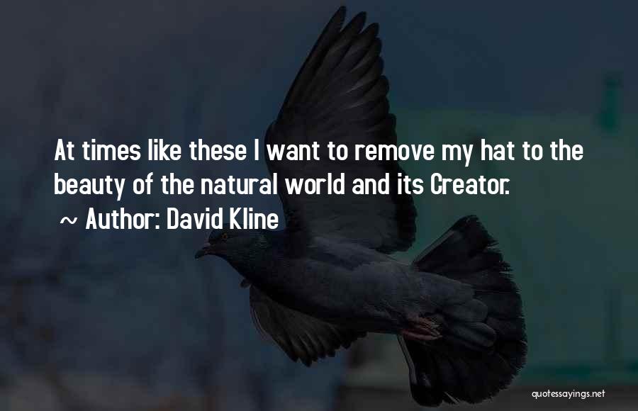 David Kline Quotes: At Times Like These I Want To Remove My Hat To The Beauty Of The Natural World And Its Creator.