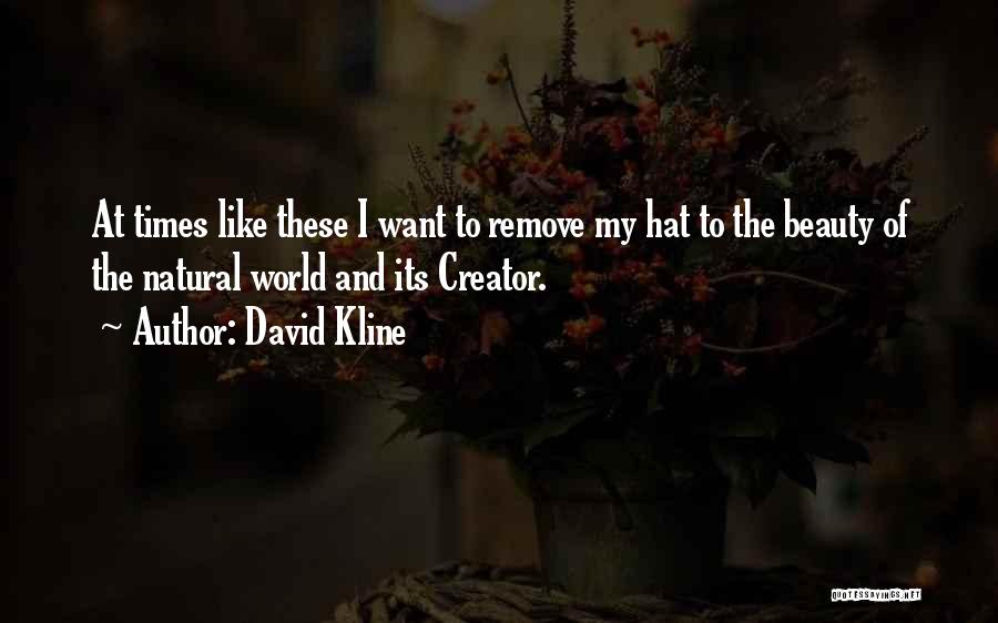 David Kline Quotes: At Times Like These I Want To Remove My Hat To The Beauty Of The Natural World And Its Creator.