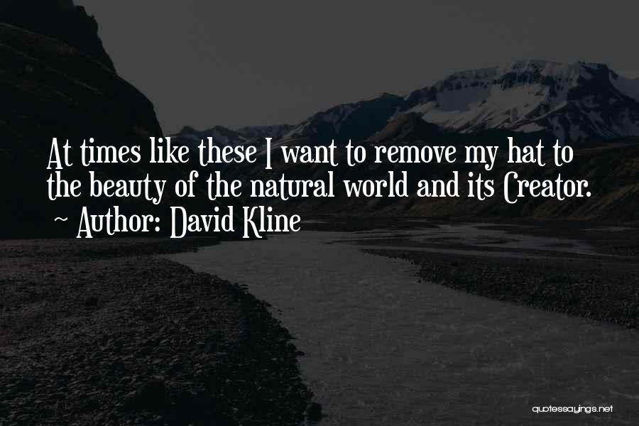 David Kline Quotes: At Times Like These I Want To Remove My Hat To The Beauty Of The Natural World And Its Creator.