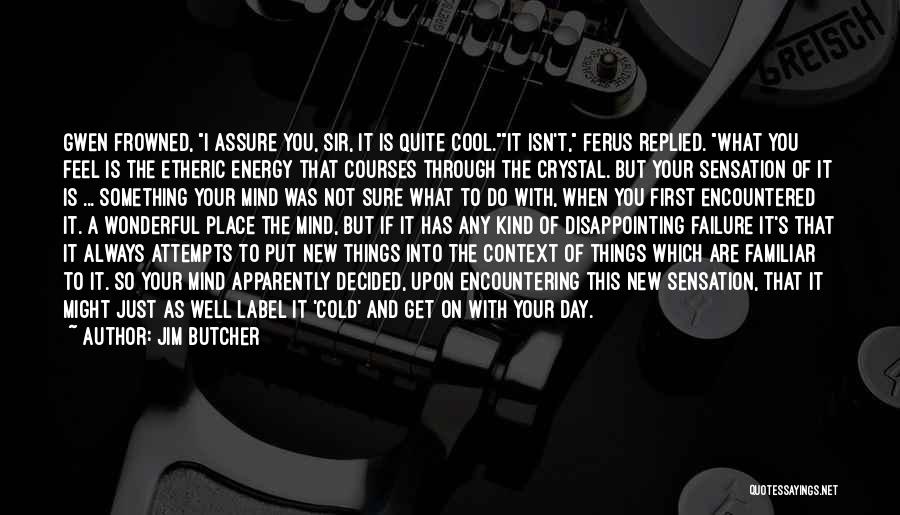 Jim Butcher Quotes: Gwen Frowned, I Assure You, Sir, It Is Quite Cool.it Isn't, Ferus Replied. What You Feel Is The Etheric Energy