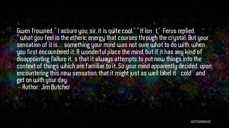 Jim Butcher Quotes: Gwen Frowned, I Assure You, Sir, It Is Quite Cool.it Isn't, Ferus Replied. What You Feel Is The Etheric Energy