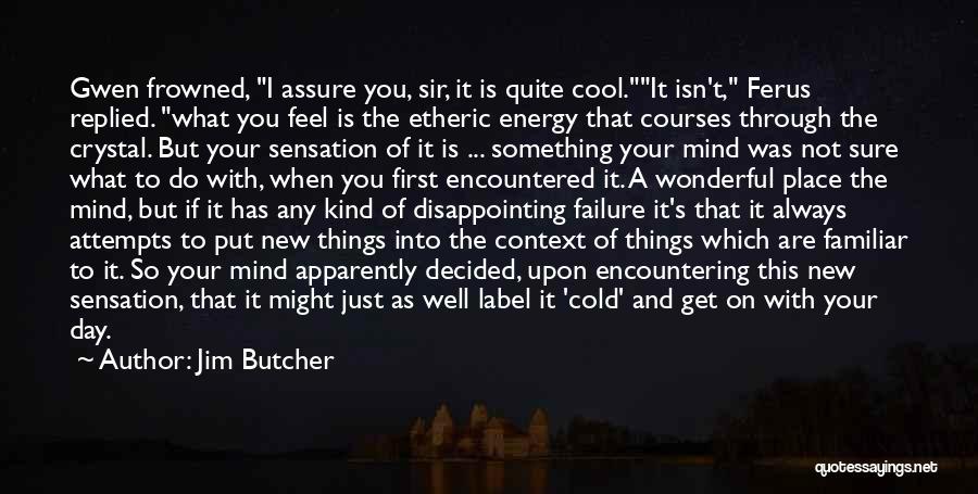 Jim Butcher Quotes: Gwen Frowned, I Assure You, Sir, It Is Quite Cool.it Isn't, Ferus Replied. What You Feel Is The Etheric Energy