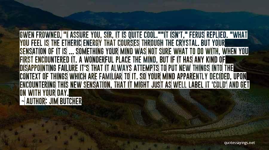 Jim Butcher Quotes: Gwen Frowned, I Assure You, Sir, It Is Quite Cool.it Isn't, Ferus Replied. What You Feel Is The Etheric Energy