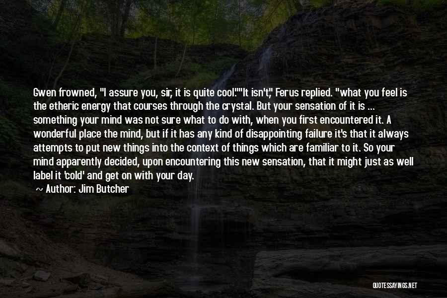 Jim Butcher Quotes: Gwen Frowned, I Assure You, Sir, It Is Quite Cool.it Isn't, Ferus Replied. What You Feel Is The Etheric Energy