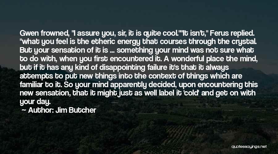 Jim Butcher Quotes: Gwen Frowned, I Assure You, Sir, It Is Quite Cool.it Isn't, Ferus Replied. What You Feel Is The Etheric Energy