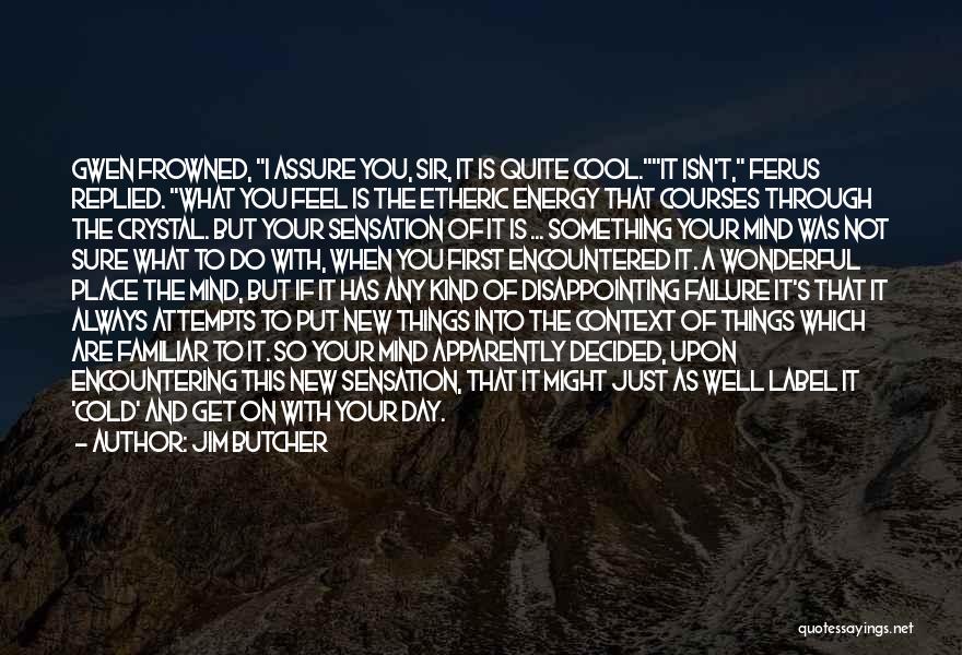 Jim Butcher Quotes: Gwen Frowned, I Assure You, Sir, It Is Quite Cool.it Isn't, Ferus Replied. What You Feel Is The Etheric Energy