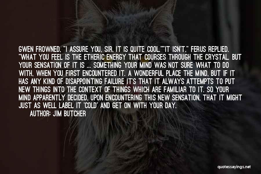 Jim Butcher Quotes: Gwen Frowned, I Assure You, Sir, It Is Quite Cool.it Isn't, Ferus Replied. What You Feel Is The Etheric Energy