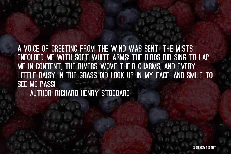 Richard Henry Stoddard Quotes: A Voice Of Greeting From The Wind Was Sent; The Mists Enfolded Me With Soft White Arms; The Birds Did