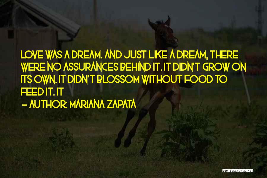 Mariana Zapata Quotes: Love Was A Dream. And Just Like A Dream, There Were No Assurances Behind It. It Didn't Grow On Its