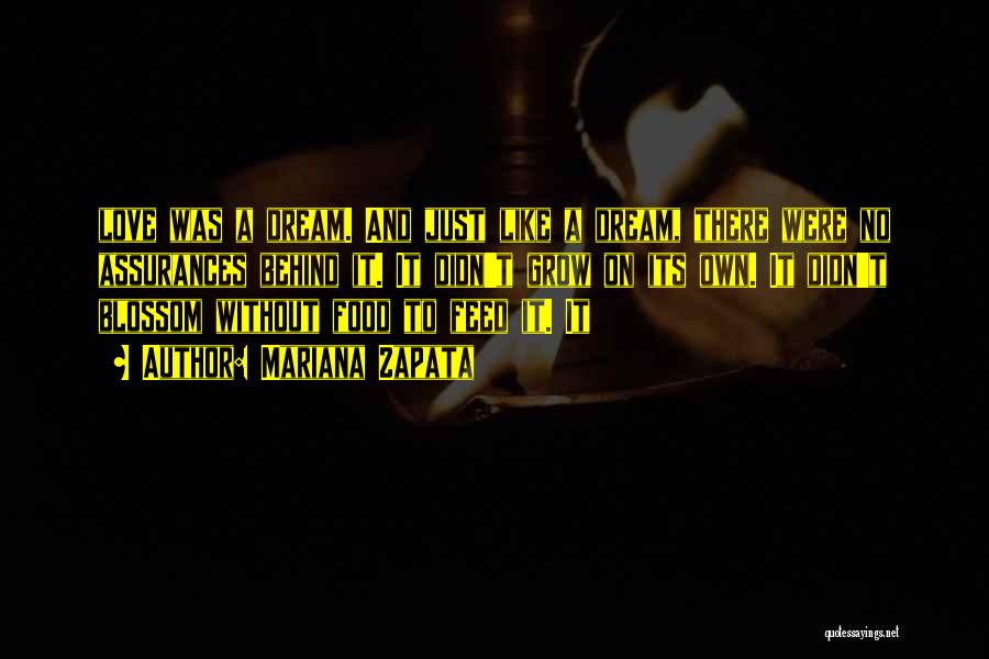 Mariana Zapata Quotes: Love Was A Dream. And Just Like A Dream, There Were No Assurances Behind It. It Didn't Grow On Its