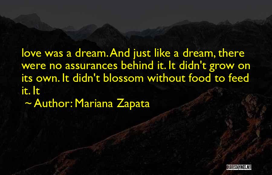 Mariana Zapata Quotes: Love Was A Dream. And Just Like A Dream, There Were No Assurances Behind It. It Didn't Grow On Its