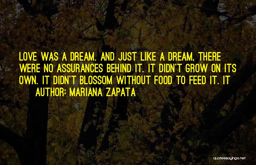 Mariana Zapata Quotes: Love Was A Dream. And Just Like A Dream, There Were No Assurances Behind It. It Didn't Grow On Its