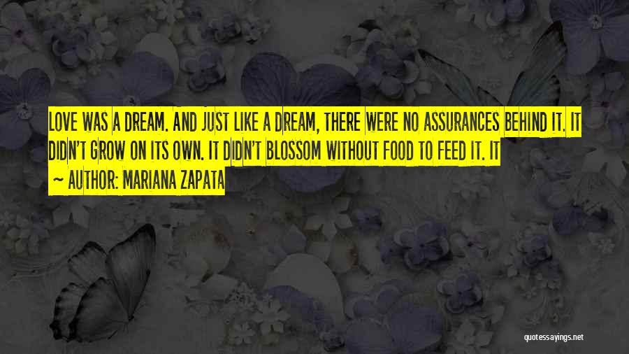 Mariana Zapata Quotes: Love Was A Dream. And Just Like A Dream, There Were No Assurances Behind It. It Didn't Grow On Its