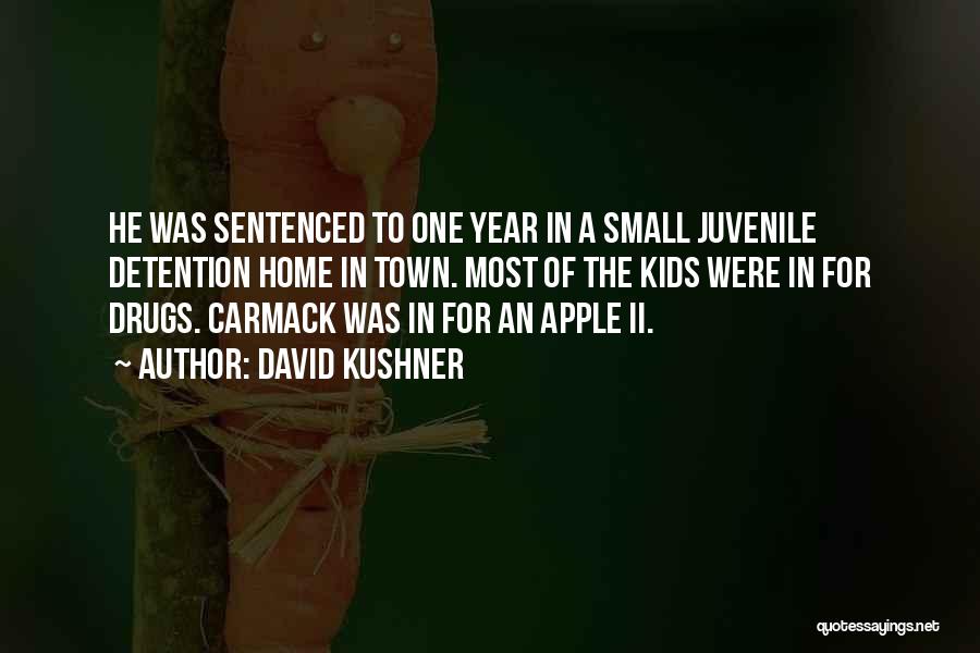 David Kushner Quotes: He Was Sentenced To One Year In A Small Juvenile Detention Home In Town. Most Of The Kids Were In