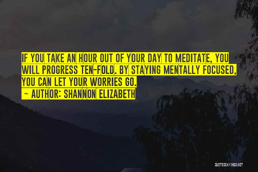 Shannon Elizabeth Quotes: If You Take An Hour Out Of Your Day To Meditate, You Will Progress Ten-fold. By Staying Mentally Focused, You
