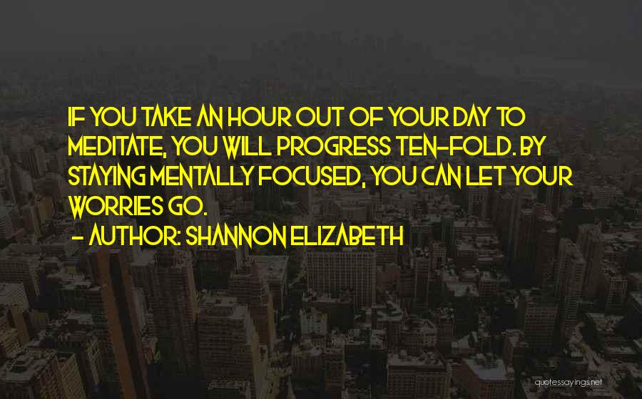 Shannon Elizabeth Quotes: If You Take An Hour Out Of Your Day To Meditate, You Will Progress Ten-fold. By Staying Mentally Focused, You