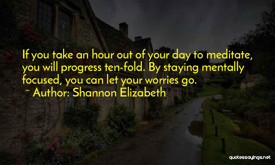 Shannon Elizabeth Quotes: If You Take An Hour Out Of Your Day To Meditate, You Will Progress Ten-fold. By Staying Mentally Focused, You