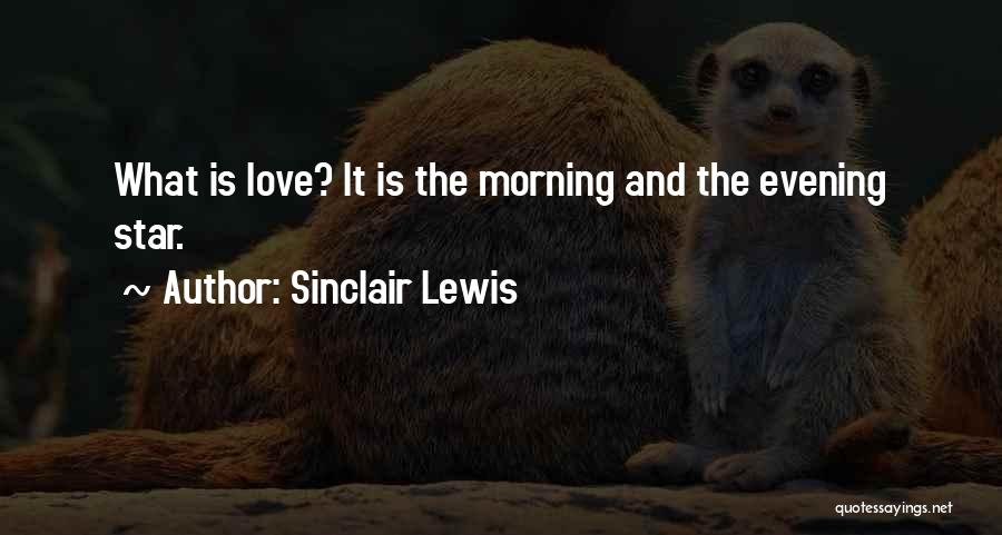 Sinclair Lewis Quotes: What Is Love? It Is The Morning And The Evening Star.