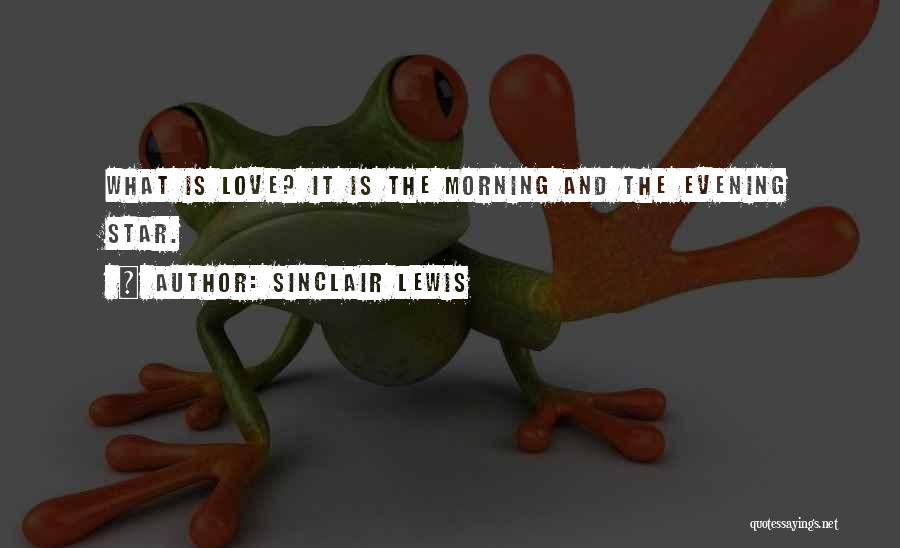 Sinclair Lewis Quotes: What Is Love? It Is The Morning And The Evening Star.