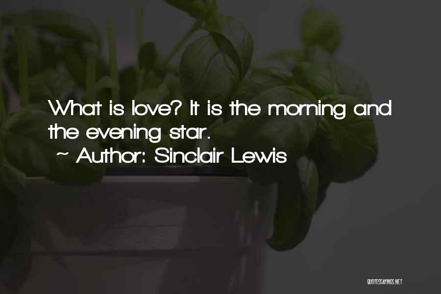 Sinclair Lewis Quotes: What Is Love? It Is The Morning And The Evening Star.