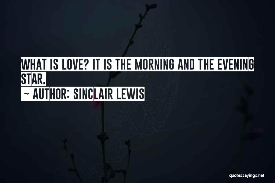 Sinclair Lewis Quotes: What Is Love? It Is The Morning And The Evening Star.