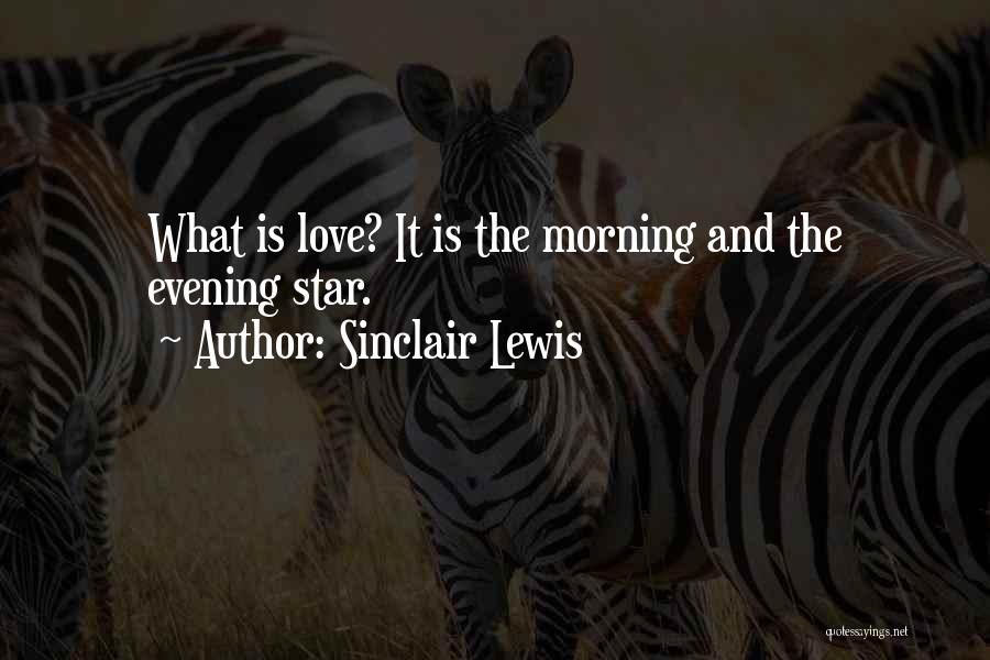 Sinclair Lewis Quotes: What Is Love? It Is The Morning And The Evening Star.