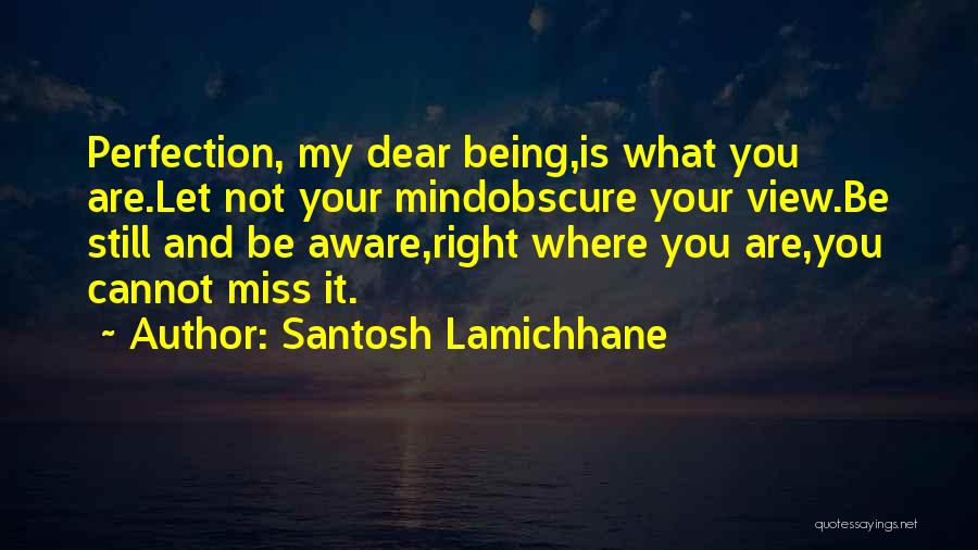 Santosh Lamichhane Quotes: Perfection, My Dear Being,is What You Are.let Not Your Mindobscure Your View.be Still And Be Aware,right Where You Are,you Cannot