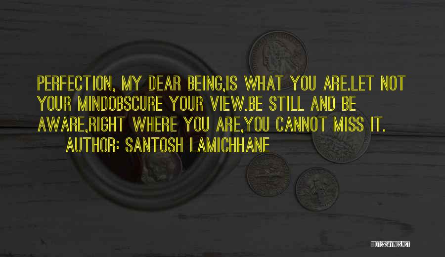 Santosh Lamichhane Quotes: Perfection, My Dear Being,is What You Are.let Not Your Mindobscure Your View.be Still And Be Aware,right Where You Are,you Cannot