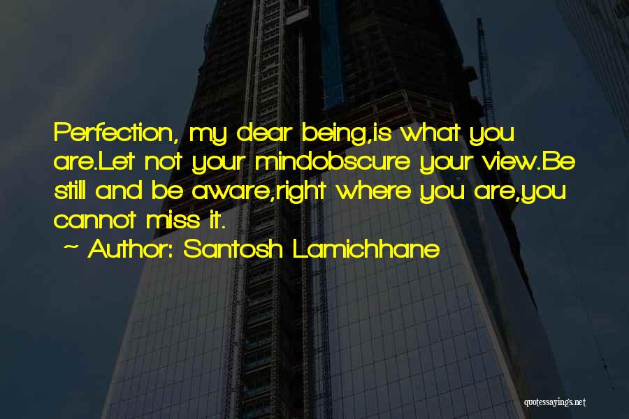 Santosh Lamichhane Quotes: Perfection, My Dear Being,is What You Are.let Not Your Mindobscure Your View.be Still And Be Aware,right Where You Are,you Cannot