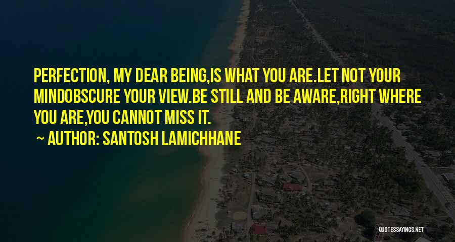 Santosh Lamichhane Quotes: Perfection, My Dear Being,is What You Are.let Not Your Mindobscure Your View.be Still And Be Aware,right Where You Are,you Cannot