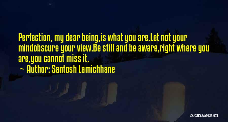 Santosh Lamichhane Quotes: Perfection, My Dear Being,is What You Are.let Not Your Mindobscure Your View.be Still And Be Aware,right Where You Are,you Cannot
