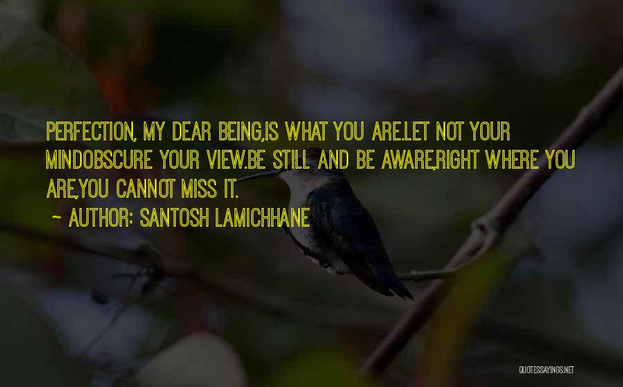 Santosh Lamichhane Quotes: Perfection, My Dear Being,is What You Are.let Not Your Mindobscure Your View.be Still And Be Aware,right Where You Are,you Cannot