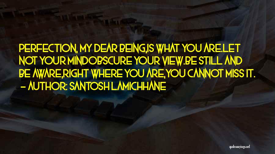 Santosh Lamichhane Quotes: Perfection, My Dear Being,is What You Are.let Not Your Mindobscure Your View.be Still And Be Aware,right Where You Are,you Cannot